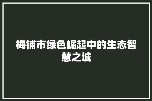 梅铺市绿色崛起中的生态智慧之城