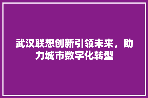 武汉联想创新引领未来，助力城市数字化转型