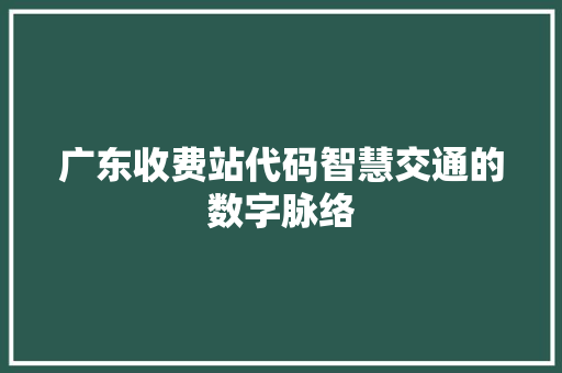 广东收费站代码智慧交通的数字脉络  第1张
