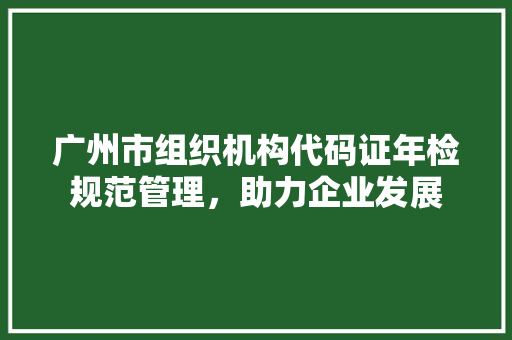 广州市组织机构代码证年检规范管理，助力企业发展