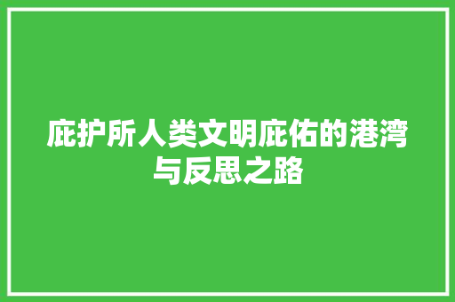 庇护所人类文明庇佑的港湾与反思之路