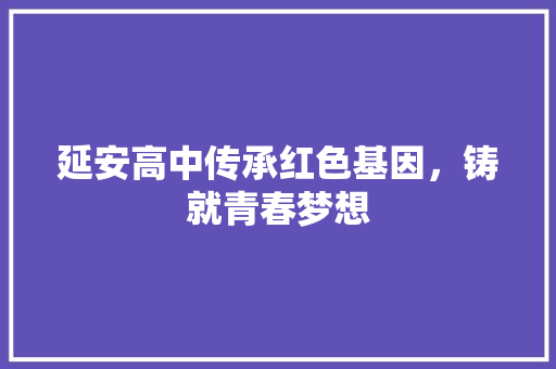 延安高中传承红色基因，铸就青春梦想