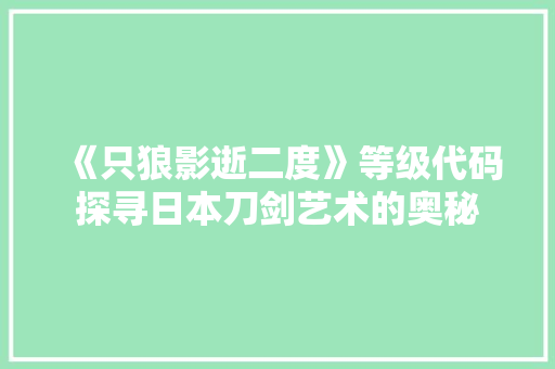 《只狼影逝二度》等级代码探寻日本刀剑艺术的奥秘