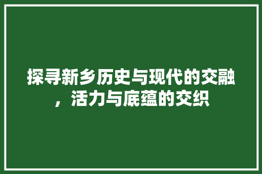探寻新乡历史与现代的交融，活力与底蕴的交织