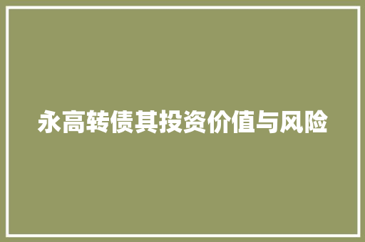 永高转债其投资价值与风险
