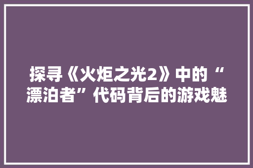 探寻《火炬之光2》中的“漂泊者”代码背后的游戏魅力与玩家共鸣