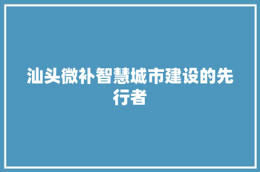 汕头微补智慧城市建设的先行者