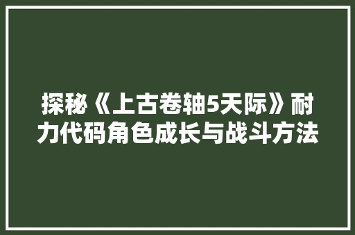 探秘《上古卷轴5天际》耐力代码角色成长与战斗方法