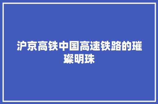 沪京高铁中国高速铁路的璀璨明珠