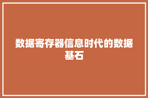 数据寄存器信息时代的数据基石