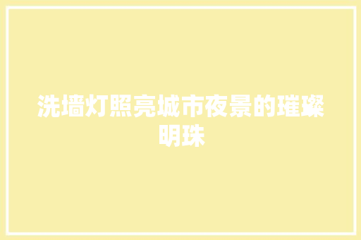 洗墙灯照亮城市夜景的璀璨明珠