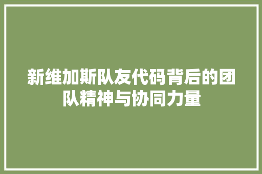 新维加斯队友代码背后的团队精神与协同力量