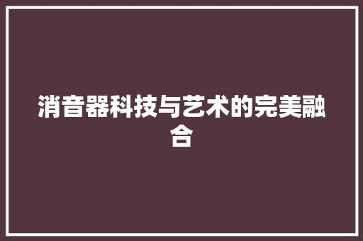 消音器科技与艺术的完美融合