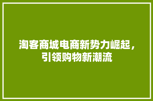 淘客商城电商新势力崛起，引领购物新潮流