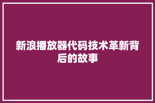 新浪播放器代码技术革新背后的故事
