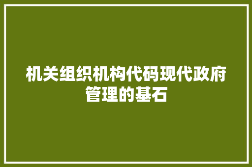 机关组织机构代码现代政府管理的基石