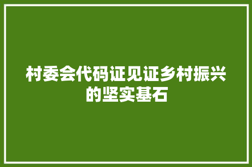 村委会代码证见证乡村振兴的坚实基石