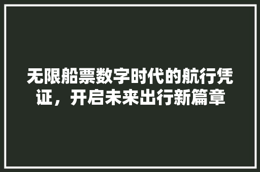 无限船票数字时代的航行凭证，开启未来出行新篇章