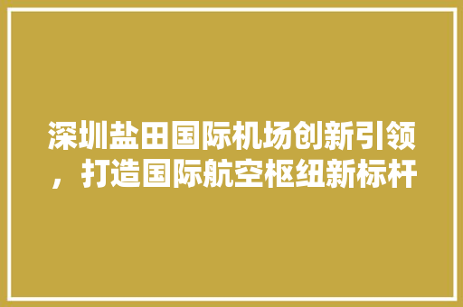 深圳盐田国际机场创新引领，打造国际航空枢纽新标杆