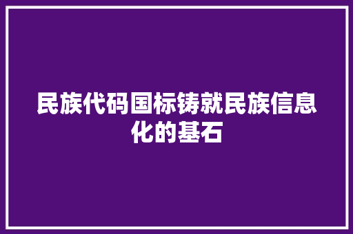 民族代码国标铸就民族信息化的基石