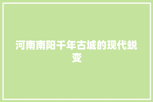 河南南阳千年古城的现代蜕变