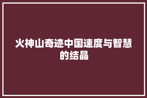 火神山奇迹中国速度与智慧的结晶