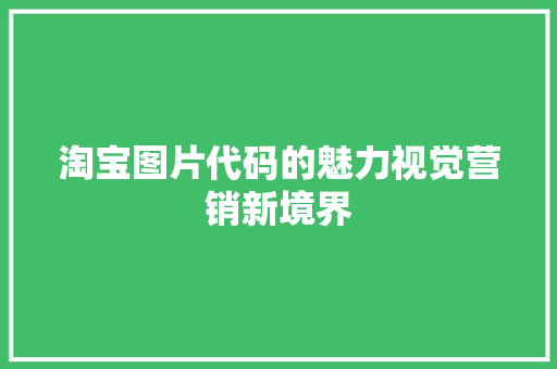 淘宝图片代码的魅力视觉营销新境界