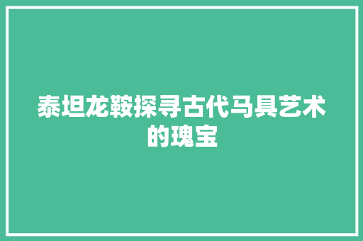 泰坦龙鞍探寻古代马具艺术的瑰宝