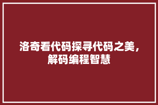 洛奇看代码探寻代码之美，解码编程智慧