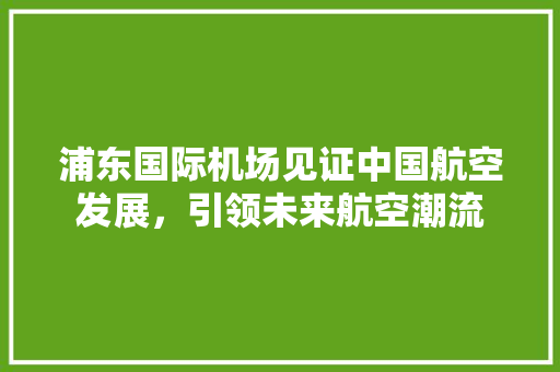 浦东国际机场见证中国航空发展，引领未来航空潮流