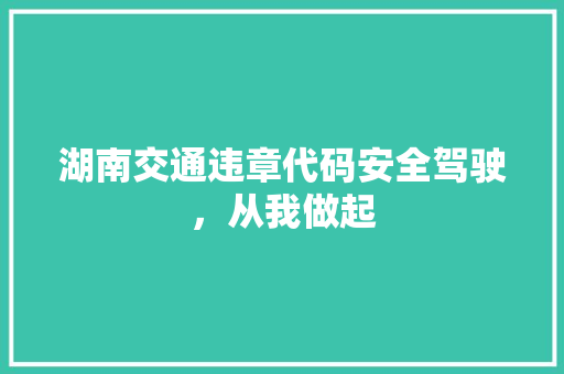 湖南交通违章代码安全驾驶，从我做起