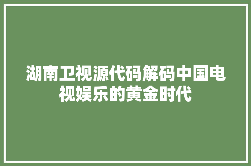 湖南卫视源代码解码中国电视娱乐的黄金时代