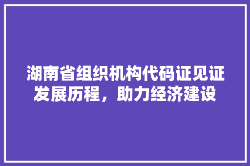 湖南省组织机构代码证见证发展历程，助力经济建设