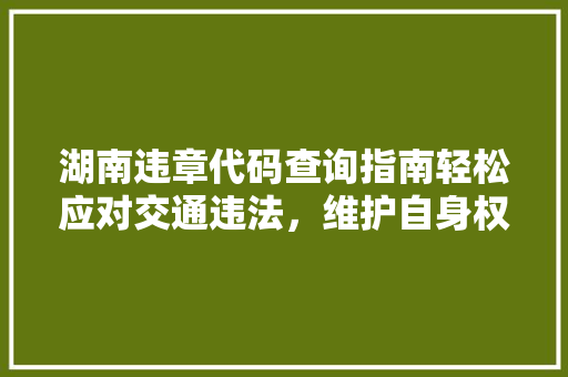 湖南违章代码查询指南轻松应对交通违法，维护自身权益