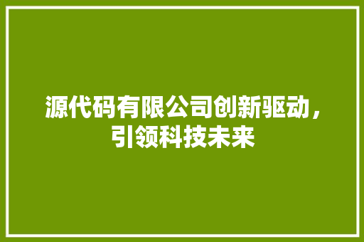 源代码有限公司创新驱动，引领科技未来