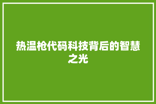 热温枪代码科技背后的智慧之光