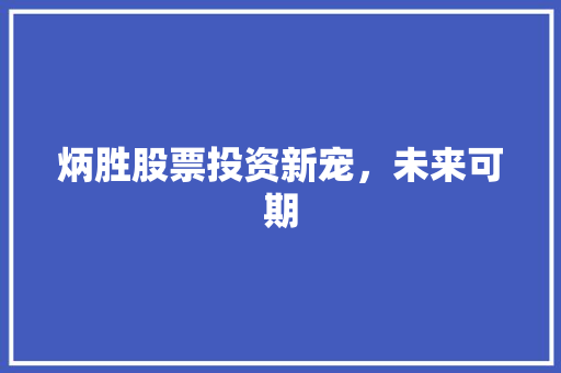 炳胜股票投资新宠，未来可期