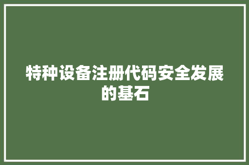 特种设备注册代码安全发展的基石