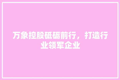 万象控股砥砺前行，打造行业领军企业