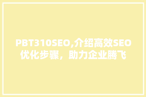 PBT310SEO,介绍高效SEO优化步骤，助力企业腾飞