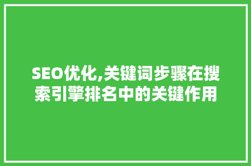 SEO优化,关键词步骤在搜索引擎排名中的关键作用