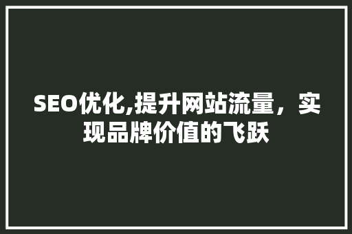 SEO优化,提升网站流量，实现品牌价值的飞跃