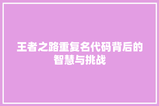 王者之路重复名代码背后的智慧与挑战