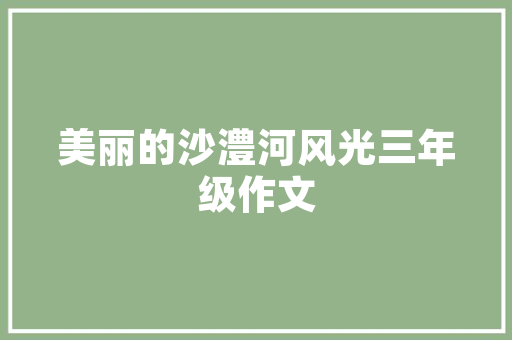SEO优化营销例子分析,如何打造高转化率的企业网站