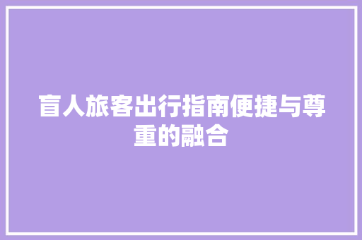 盲人旅客出行指南便捷与尊重的融合