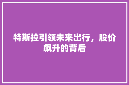 特斯拉引领未来出行，股价飙升的背后  第1张