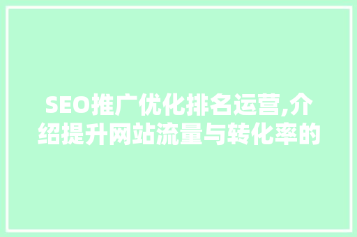 SEO推广优化排名运营,介绍提升网站流量与转化率的秘密武器