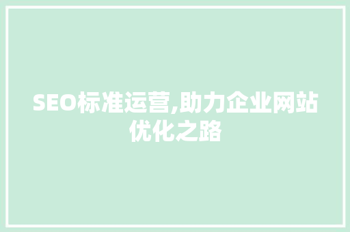 SEO标准运营,助力企业网站优化之路