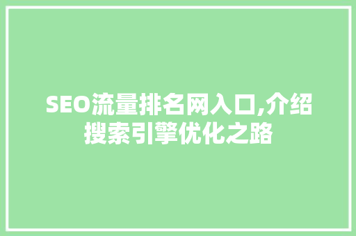 SEO流量排名网入口,介绍搜索引擎优化之路