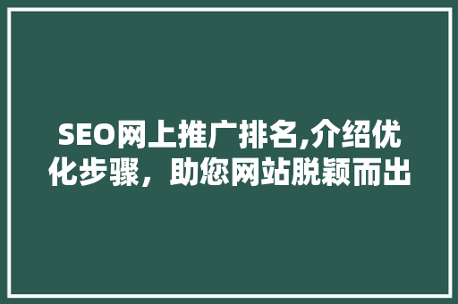 SEO网上推广排名,介绍优化步骤，助您网站脱颖而出